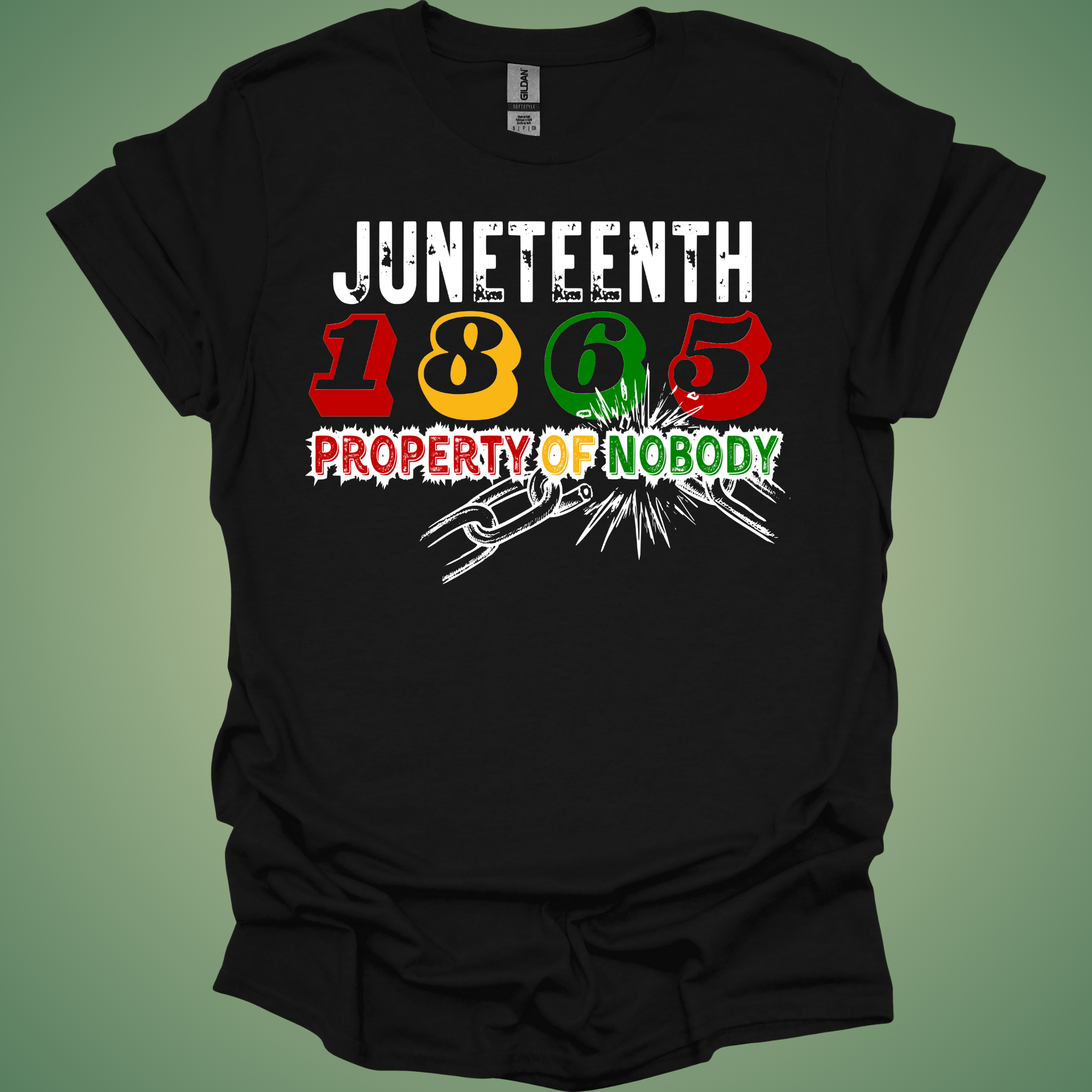 ✊🏾 Juneteenth 'Property of Nobody' Tee