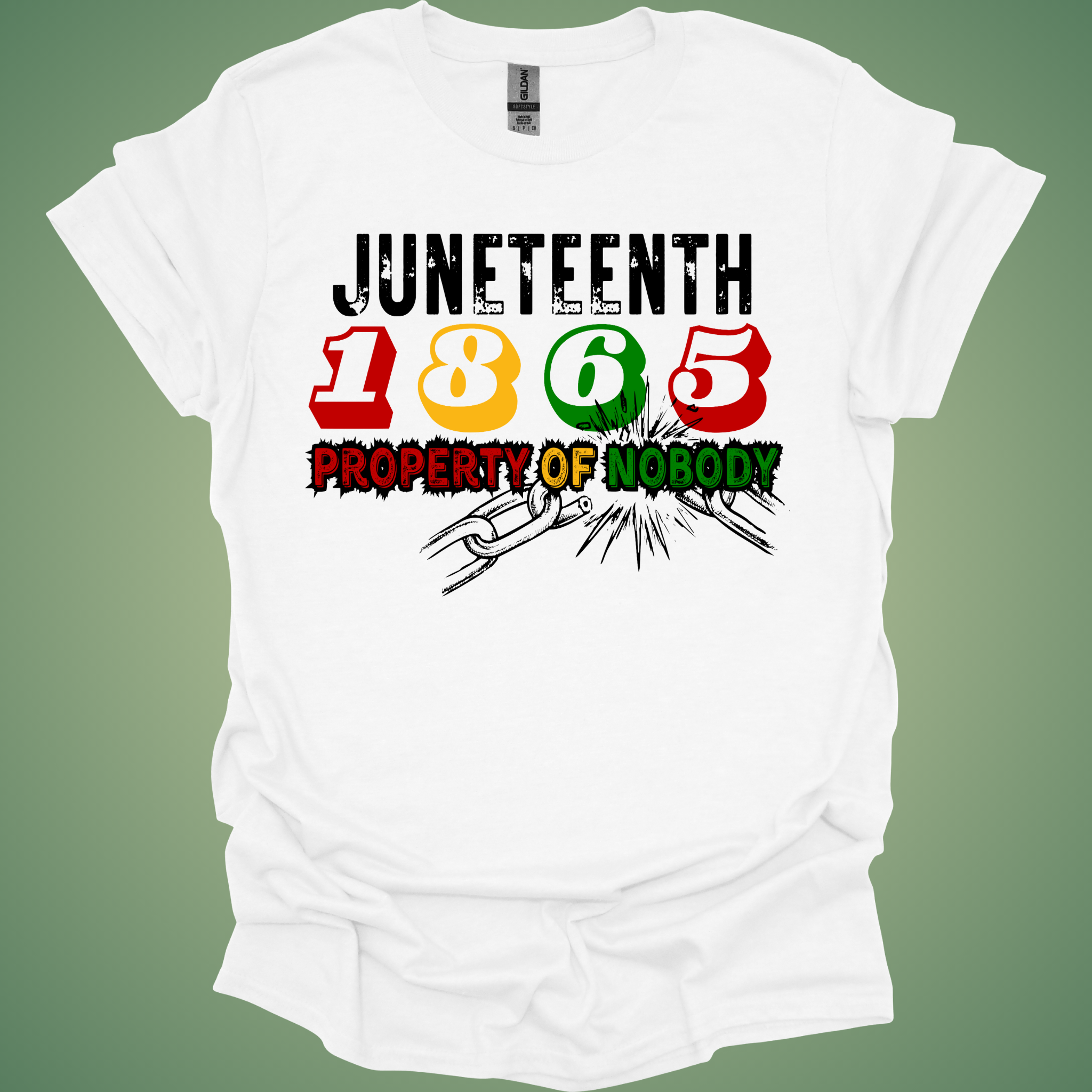 ✊🏾 Juneteenth 'Property of Nobody' Tee